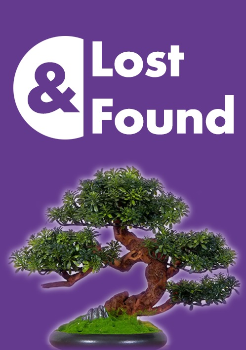 Lost And Found 2