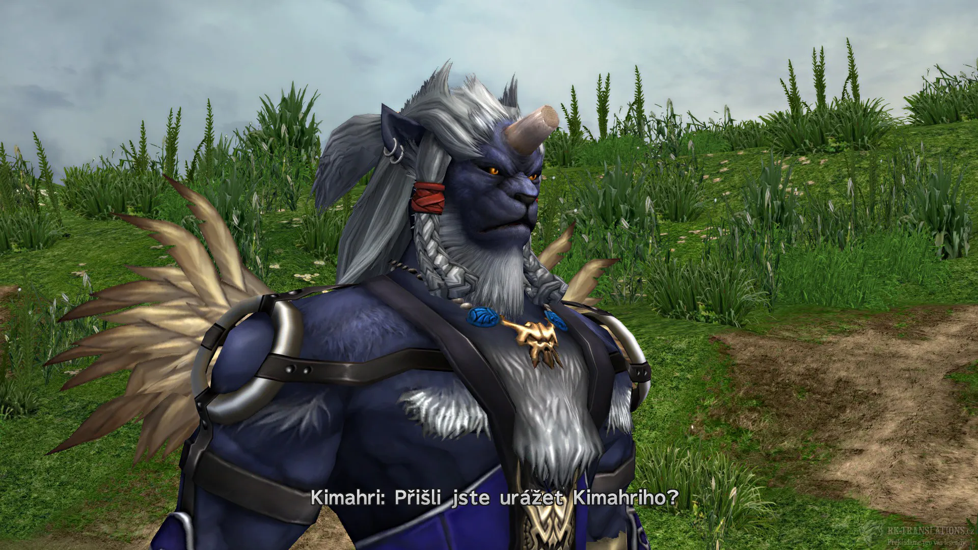 Final Fantasy X HD (PC)