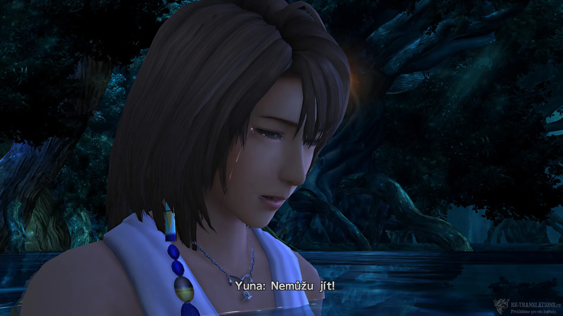 Final Fantasy X HD (PC)