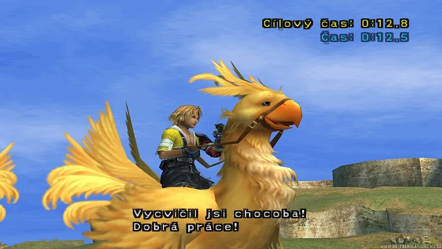 Final Fantasy X (PS2)