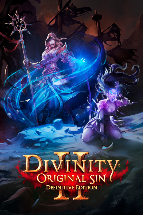 Divinity: Original Sin 2 Definitive Edition