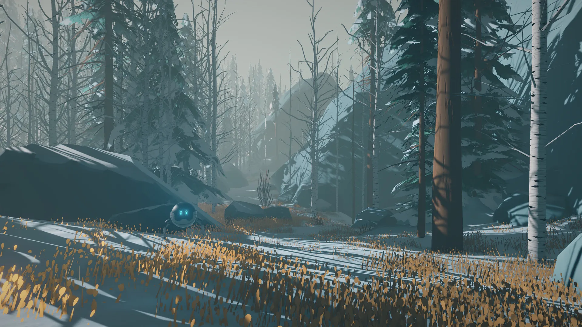 Arctic Awakening