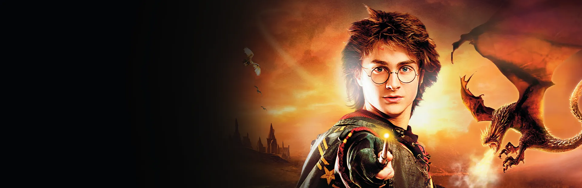 Harry Potter a ohnivý pohár