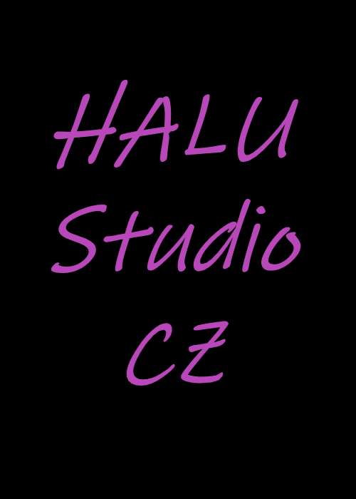 HALU Studio