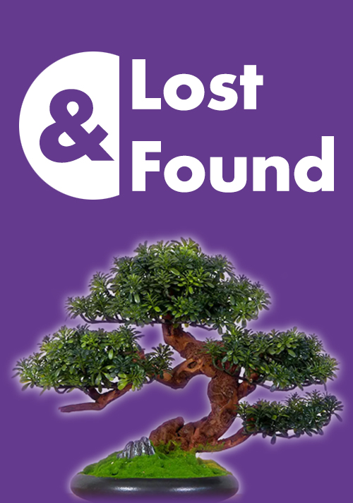 Lost And Found