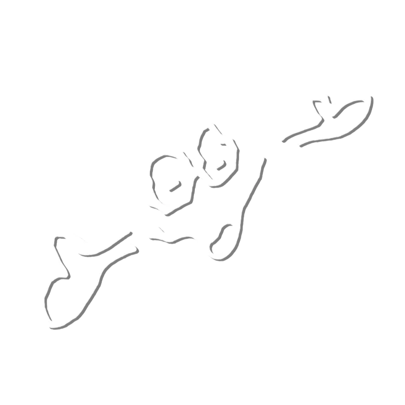 Suey aka sueysydle
